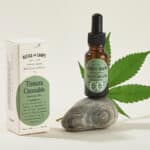 tintura cannabis base oliva